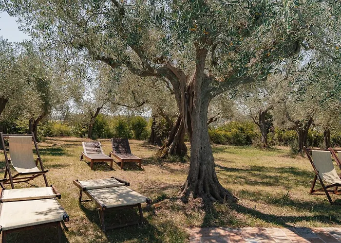 شقة Mit Garten Und Schwimmbad In Den Huegeln Der Marken- By Interhome *